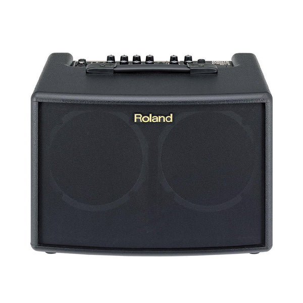 ROLAND AC-60 Amplificatore Stereo per Chitarra Acustica 60W Usato