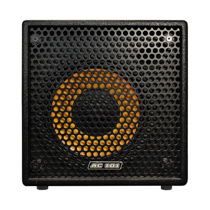 MARKBASS AC 101 Acoustic Amplificatore Combo con Effetti Digitali per Chitarra, Basso, Contrabbasso e Altri Strumenti Acustici 1x10" 200W Usato
