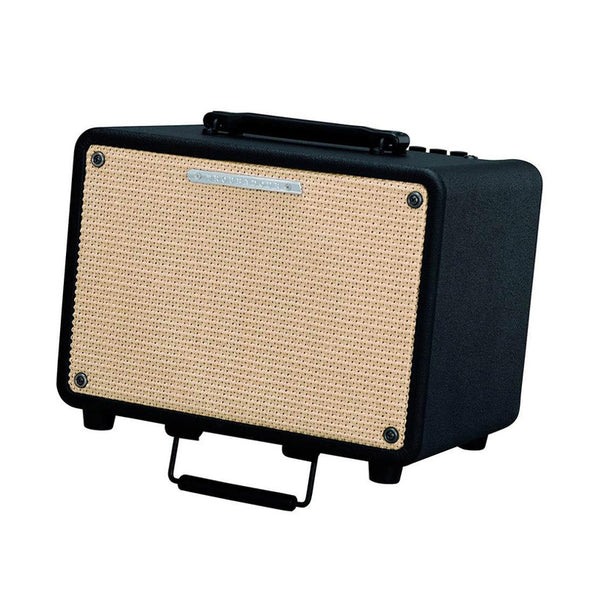 IBANEZ T30 Amplificatore per Chitarra Acustica 8" 30W [Usato]