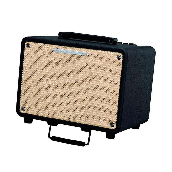 IBANEZ T30 Amplificatore per Chitarra Acustica 8" 30W Usato
